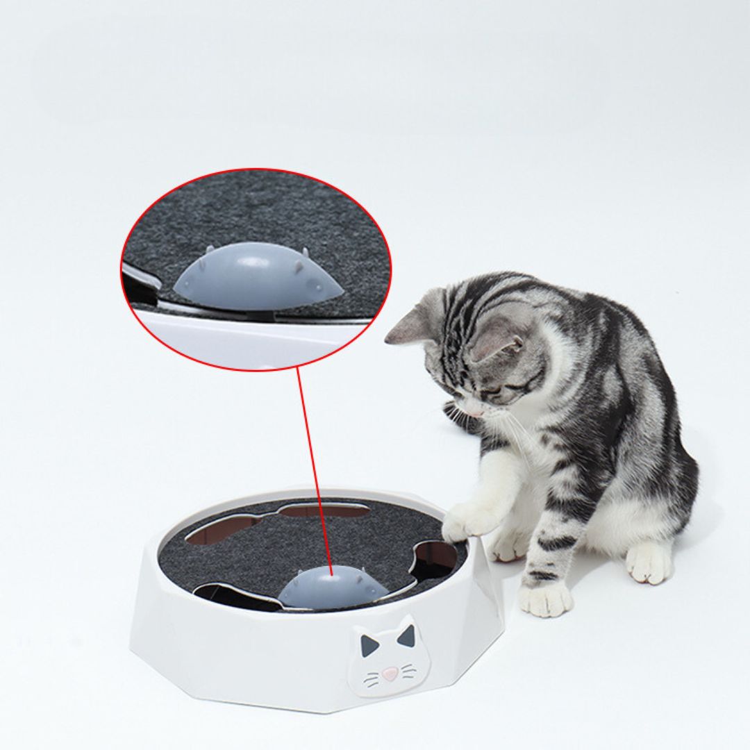 Interactive Mouse Hide-and-seek Game For Cats