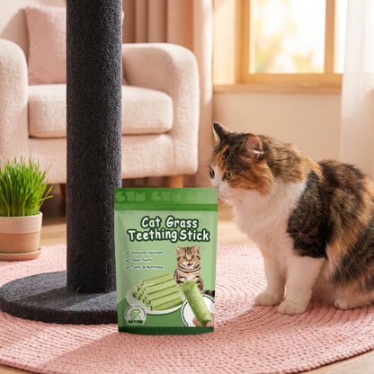 Cat Grass Teething Sticks for Hairball Removal and Clean Teeth
