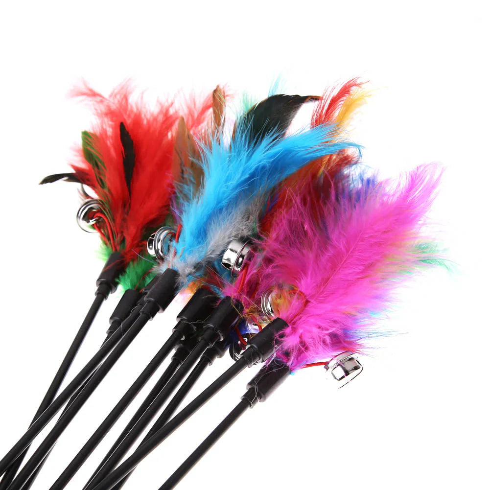 Cat Toy with Colorful Feathers (Set of 5)