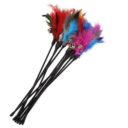 Cat Toy with Colorful Feathers (Set of 5)