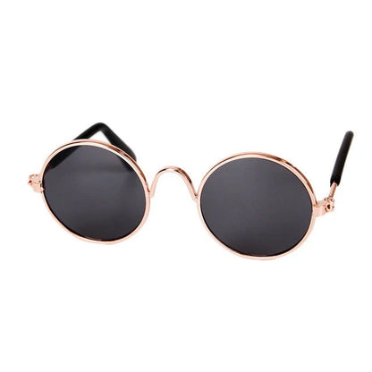 Fashionable Cat Glasses