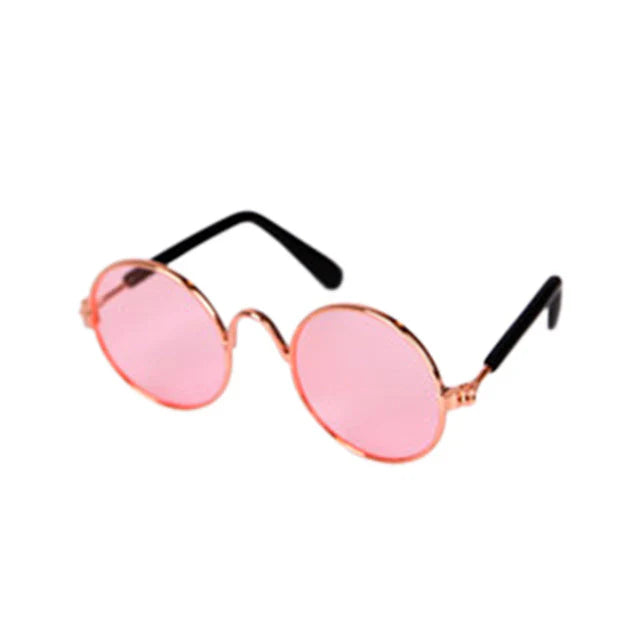 Fashionable Cat Glasses