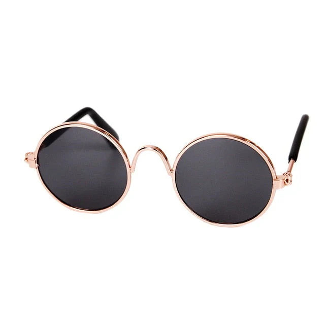 Fashionable Cat Glasses