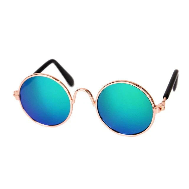Fashionable Cat Glasses