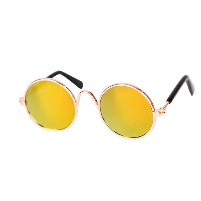 Fashionable Cat Glasses