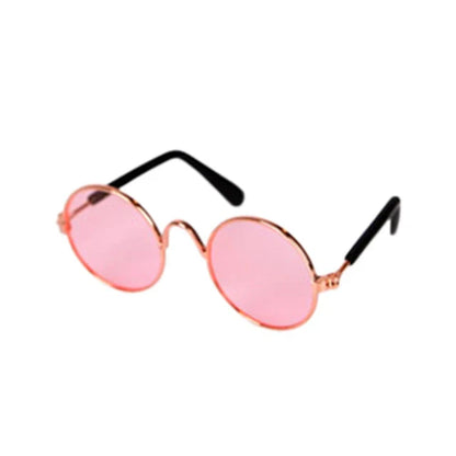 Fashionable Cat Glasses