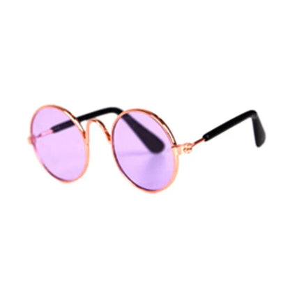 Fashionable Cat Glasses