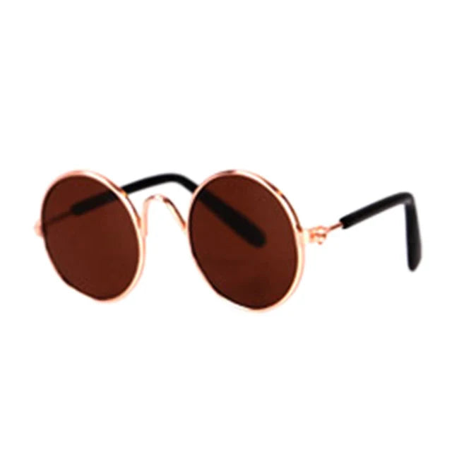 Fashionable Cat Glasses