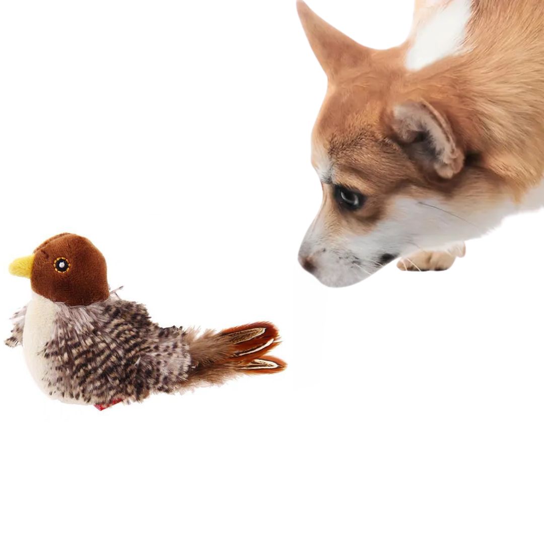 Chirping Bird Toy For Dogs