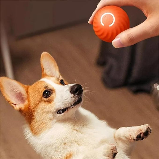 Interactive Bouncy Ball for Dogs